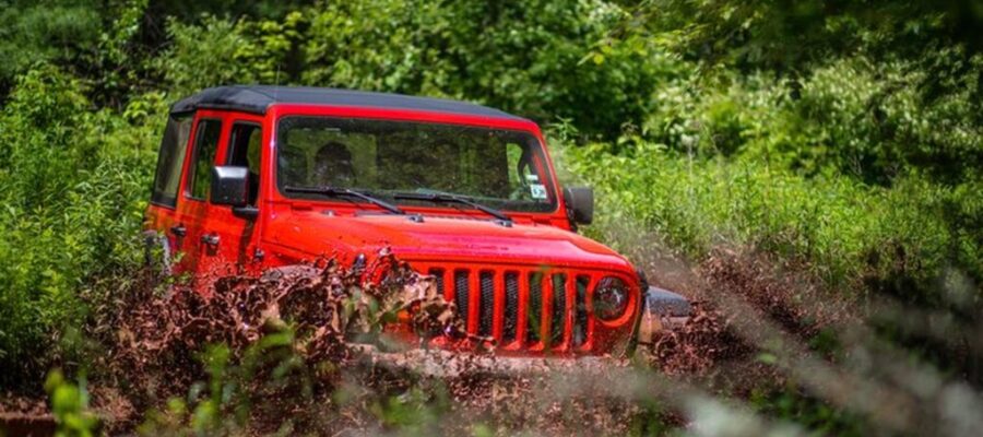 IMG_8129-720x480-1bde3527-5071-4208-bc5d-1e05d7aae83c_wm