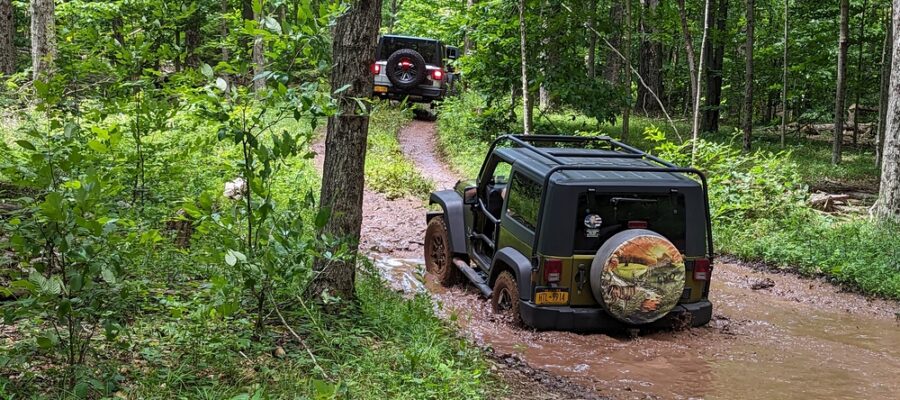 PXL_20230722_172951009.MP_wm