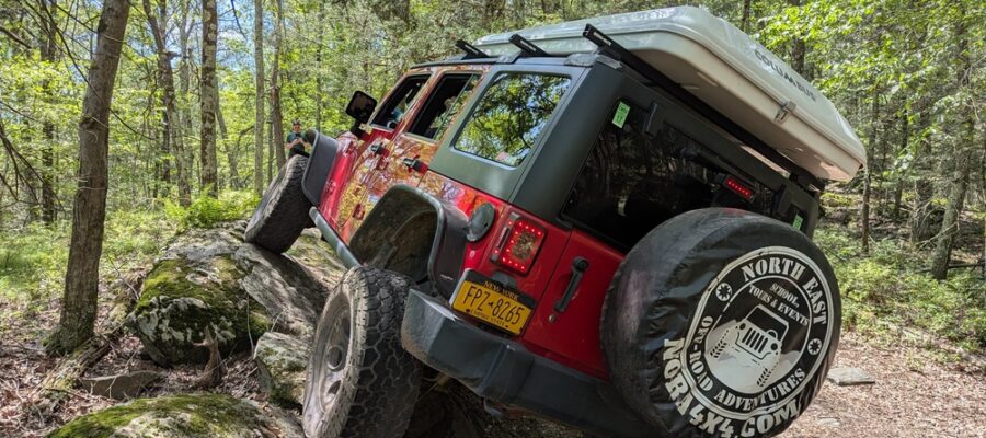 PXL_20250719_164549625_wm