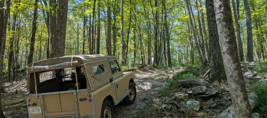 PXL_20250913_165502258_wm