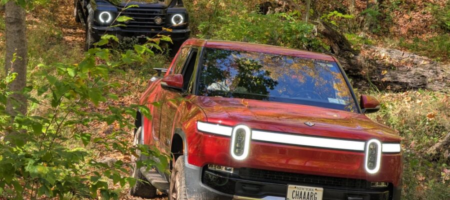 PXL_20251003_173500658_wm