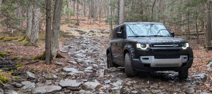 PXL_20240320_171234380_wm