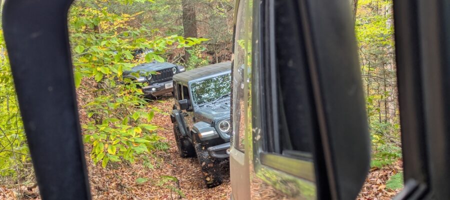 PXL_20251011_175157936_wm