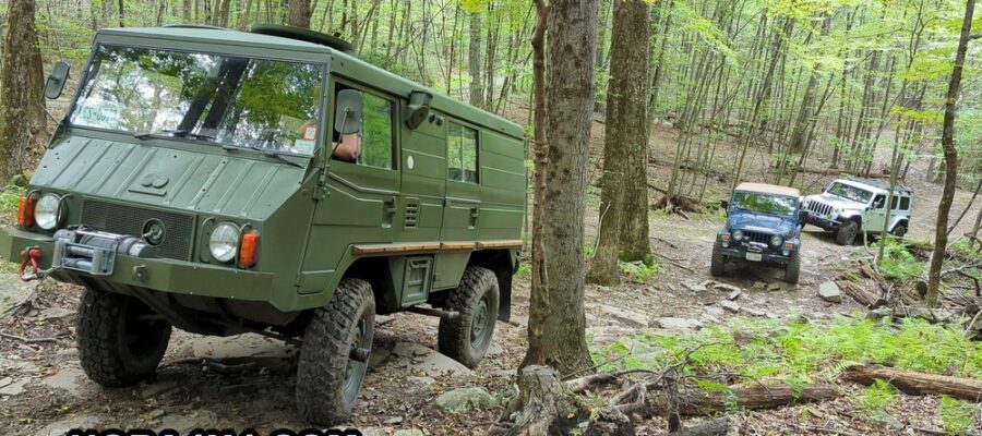 PXL_20230917_184226634_wm