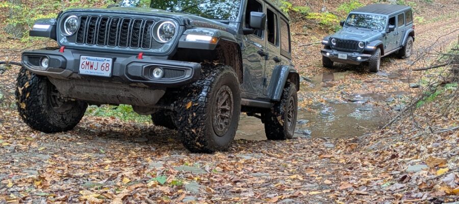 PXL_20251011_175041861_wm