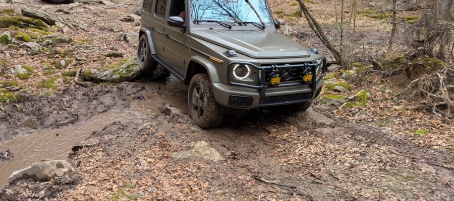 PXL_20260404_194634995.MP_wm